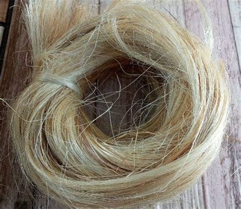 Abaca Fiber: Properties, Manufacturing Process and Uses .